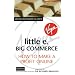 Little E, Big Commerce: How to Make a Profit Online