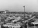 Masses of New Fords for Export Standing Bumper to Bumper in Huge Open Air-Field at Da...