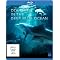 Meine Lieblings Blu-Rays