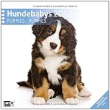 Hundebabies 2012 Art12 Collection: Broschürenkalender