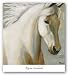 Strider I, Detail by Karen Leibrick 18"x18" Art Print Poster