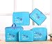 PackNBUY BLUE Set of 5 Bags in Bag Travel Luggage Combo Set RS.799.00
