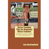 Horse Training Tips For Beginner Horse Trainers