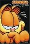 Garfield Cat Tales - (Garfield as Himself / Garfield Fantasies / Garfield Travel Adventures)