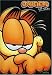 DVD : Garfield Cat Tales - (Garfield as Himself / Garfield Fantasies / Garfield Travel Adventures)