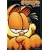 Garfield Cat Tales - (Garfield as Himself / Garfield Fantasies / Garfield Travel Adventures)