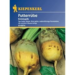 Futterr�ben Runkelr�ben Eckdogelb