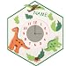 Bastelset 3-D Uhr / elektrische Wanduhr Dino Junge grün Tiere - incl. Namen