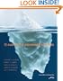 MP Auditing & Assurance Services w/ACL software cd 4e