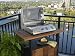 Fire Stone Home Products PBC-WD Bistro Series 36-Inch Grill and Serving Cart with Eucalyptus Wood Top and Doors