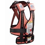 Safe Traffic Systems GD10101RWB Safe Rider Travel Vest Small 30 - 60 lb - 34 - 52 Inches -Red