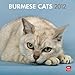 Burmese Cats 2012 Square 12X12 Wall Calendar (Multilingual Edition) by BrownTrout Publishers Inc