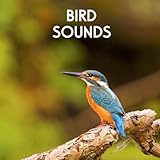 Bird Sounds - Morning Birds for Relaxation, Meditation, Yoga , Naturescapes, Forest Ambience and Spa