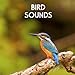 Bird Sounds