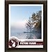 Craig Frames 232477780812N 1-Inch Wide Picture/Poster Frame in Smooth Wood Grain Finish, 8 by 12-Inch, Brazilian Walnut