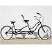 7- Speed Shimano Tandem Beach Cruiser Bicycle Black with Red Wheels