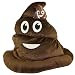 RIN Emoji Poop Hat (1)