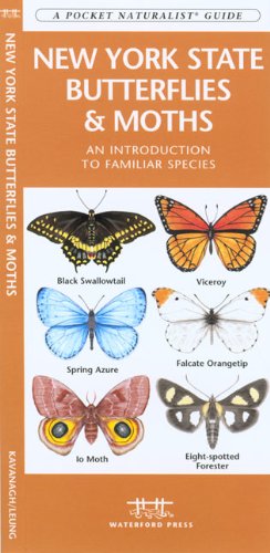 New York State Butterflies & Moths: An Introduction to Familiar Species (State Nature Guides)