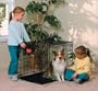 Midwest Life Stages Double-Door Folding Metal Dog Crate, 30 Inches by 21 Inches by 24 Inches