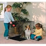 Midwest Life Stages Double-Door Folding Metal Dog Crate, 30 Inches by 21 Inches by 24 Inches