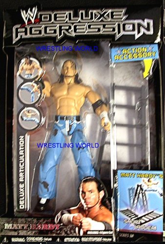 WWE Deluxe Aggression 10 MATT HARDY Wrestling Figure