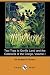Two Trips to Gorilla Land and the Cataracts of the Congo, Volume I (Dodo Press)