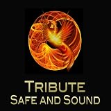Safe & Sound (Taylor Swift feat. The Civil Wars "Hunger Games" Tribute) - Single