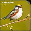 Songbirds 2013 Square 12X12 Wall Calendar