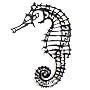Seahorse Steel Wall Art Sculpture - Natural Dark Metal Version