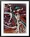 A Cyan Bike against a Bright Red Background National Geographic Collection Framed Art Poster Print by Stacy Gold, 31x39
