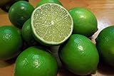 ライム (防腐剤不使用 メキシコ産ライム  1kg※常温便) ライム (防腐剤不使用 メキシコ産ライム  1kg※常温便)