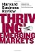 Harvard Business Review on Thriving in Emerging Markets (Harvard Business Review Paperback Series)