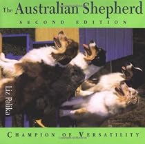 The Australian Shepherd: Champion of Versatility