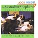 The Australian Shepherd: Champion of Versatility