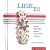 Link It!: Colorful Chain Mail Jewelry with Rubber O-rings (A Lark Jewelry Book)