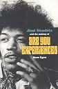 Jimi Hendrix and the Making of Are You Experienced (The Vinyl Frontier)