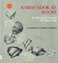 A First Look at Rocks (First Look at Series)