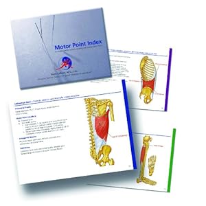 Motor Point Index - An Acupuncturist's Guide to Locating and Treating Motor Ponts