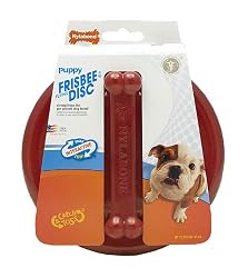 Nylabone Puppy Rainbow Frisbee Pet Chew Toy, Small