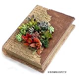 多肉植物用ミニチュア：ピースブック[デザイナーシリーズ][多肉植物の寄せ植えに！]