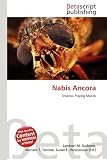 Nabis Ancora Ancora