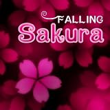 Sakura Falling Live Wallpaper