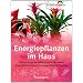 Feng Shui f�r Einsteiger