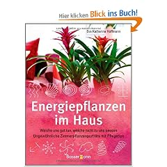 Energiepflanzen im Haus: Welche uns gut tun, welche nicht zu uns passen - Ungew�hnliche Zimmerpflanzenportr�ts mit Pflegetips