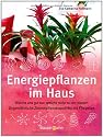 Energiepflanzen im Haus: Welche uns gut tun, welche nicht zu uns passen - Ungewöhnliche Zimmerpflanzenporträts mit Pflegetips
