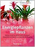Energiepflanzen im Haus: Welche uns gut tun, welche nicht zu uns passen - Ungew&ouml;hnliche Zimmerpflanzenportr&auml;ts mit Pflegetips - Eva Katharina Hoffmann
