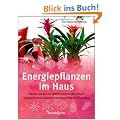Energiepflanzen im Haus: Welche uns gut tun, welche nicht zu uns passen - Ungew�hnliche Zimmerpflanzenportr�ts mit Pflegetips