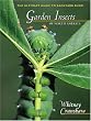 Garden Insects of North America: The Ultimate Guide to Backyard Bugs (Princeton Field Guides)