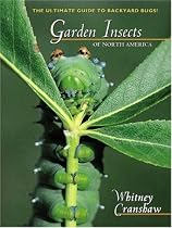 Garden Insects of North America: The Ultimate Guide to Backyard Bugs (Princeton Field Guides)