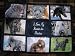 I Love My Bouvier Des Flandres Personalized Photo Tote Bag Navy Blue